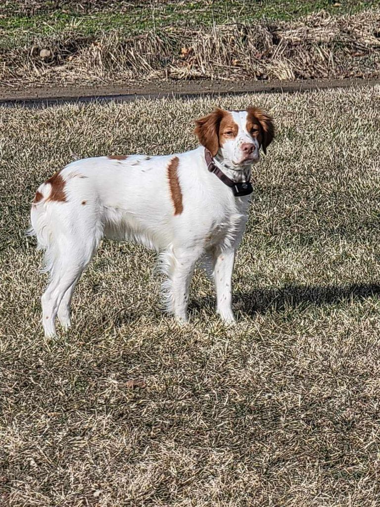 received_5101536480573384539508422666501729